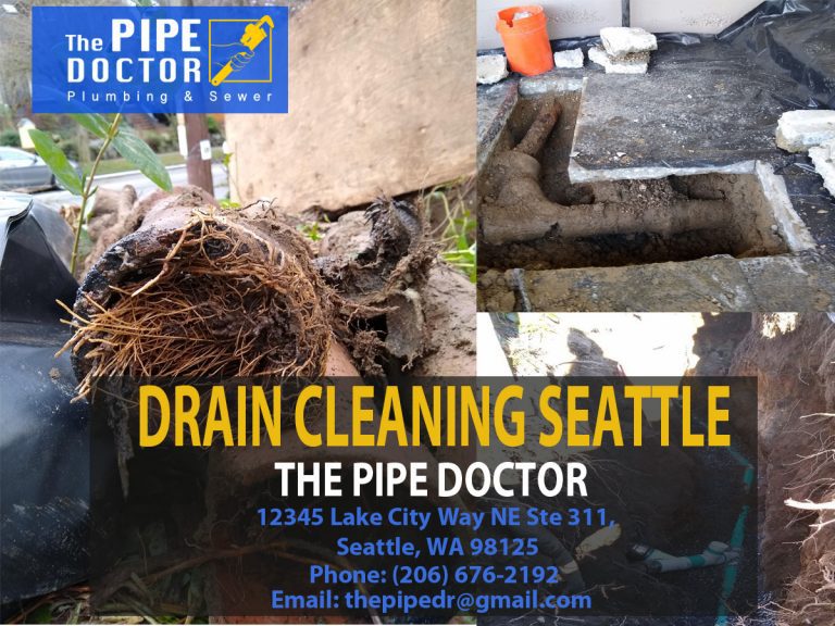 drain cleaning seattle