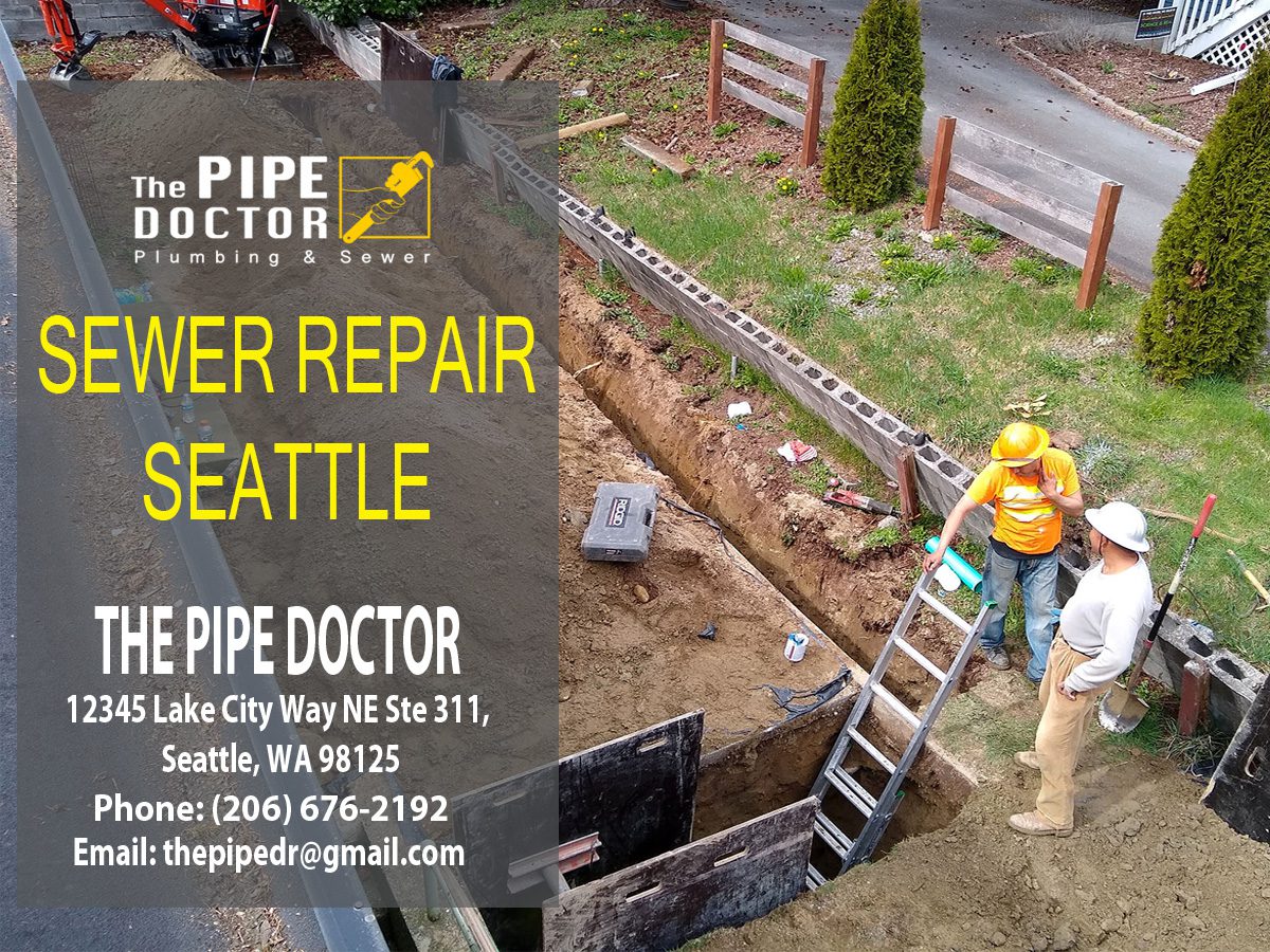 trenchless sewer repair